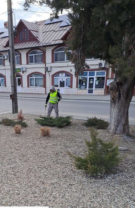 Amenajare și Întreținere Spații Verzi – Servicii Profesionale