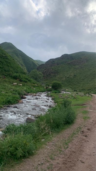 Продам участок в горах 20гек