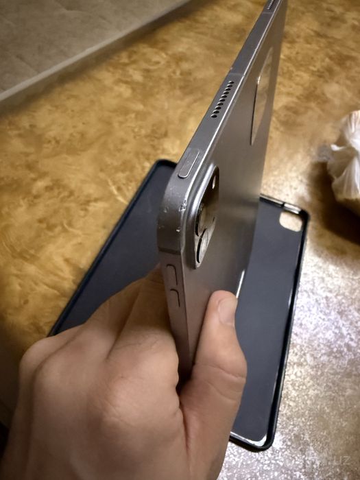 Ipad Pro 12,9 M2 / 2TB (Sim)