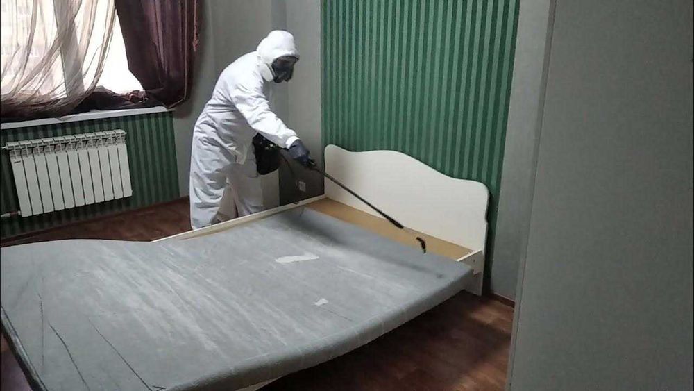 Dezinfeksiya klop tarakan Дезинфекция СКИДКИ до 40% клоп таракан блохи