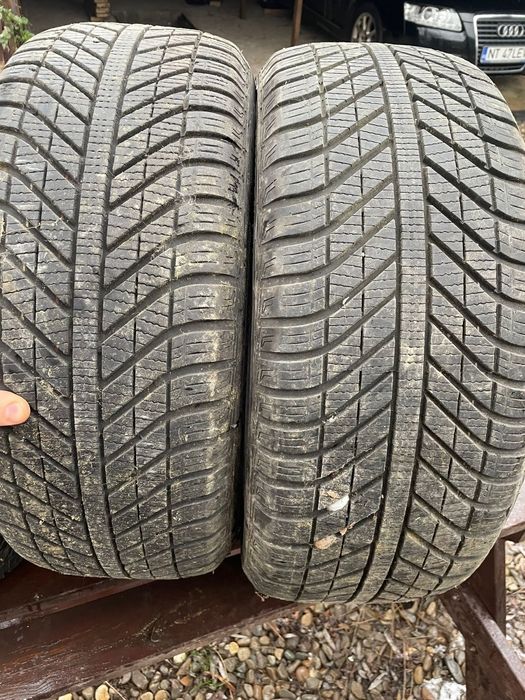 Cauciucuri iarna 225 50 17