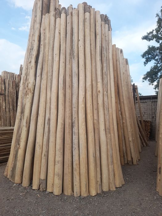 Terak to'sin mahsulotlari