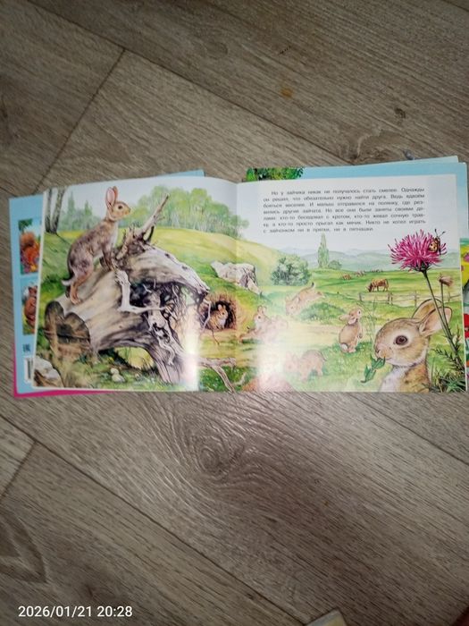 Детские книжки о животных