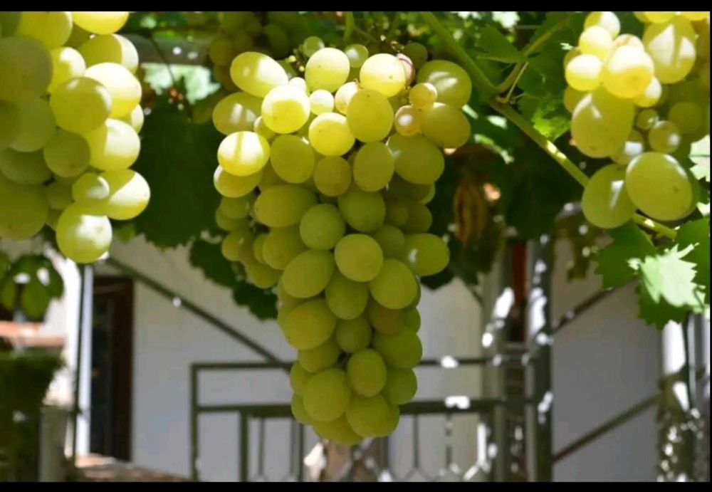 Продава се Къща в с. Ерден, Област Монтана - 75 кв.м за 714 €/кв.м - Снимка #10