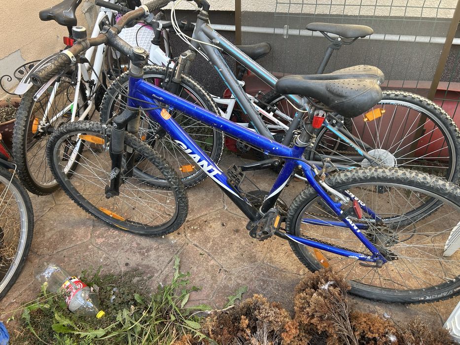 Vand biciclete Giant