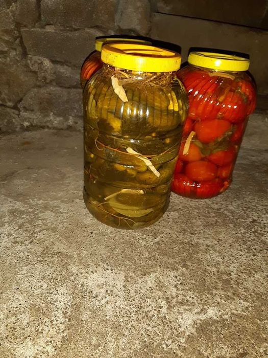 Castraveți murați în saramură – Tradiționali și crocanți