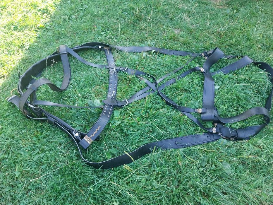 Vând ham nou sasesc