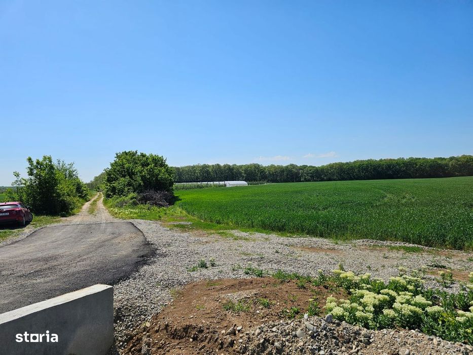 Balteni-Scrovistea, teren intravilan 17.714 mp, lângă pădure