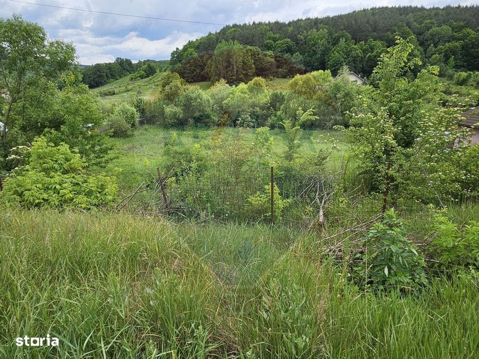 Teren 7,797mp Podis / Calea Moinesti