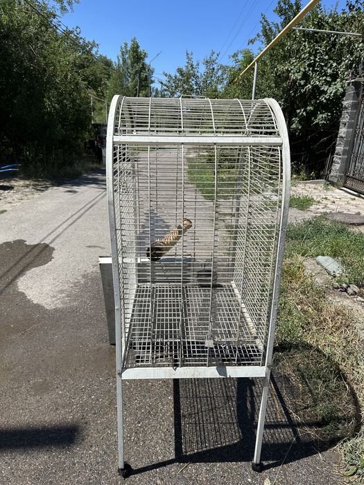 Клетка для попугая большая