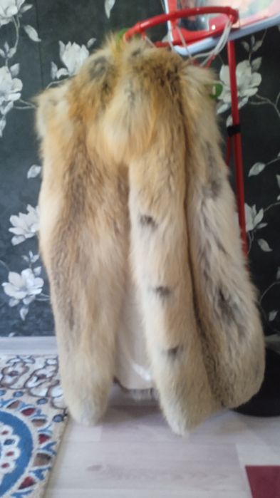 Продам не дорого