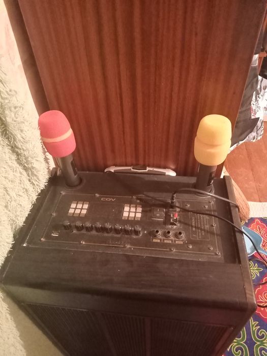 Колонка с микрофонами