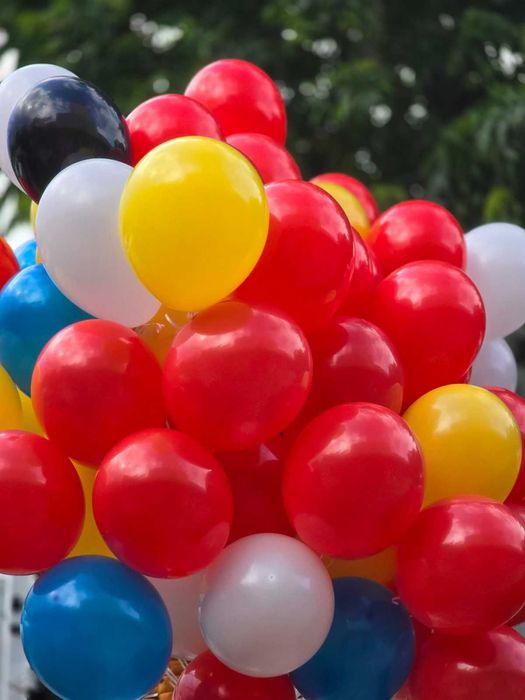 Балони с хелий - Стара Загора - Слон-Балон