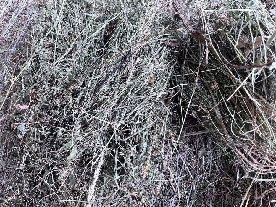 Baloți rotunzi de fân 150x120