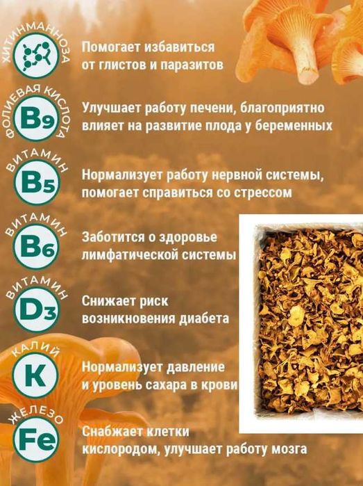 Грибы лисички | Премиум Башкирия | Цельные и молотые