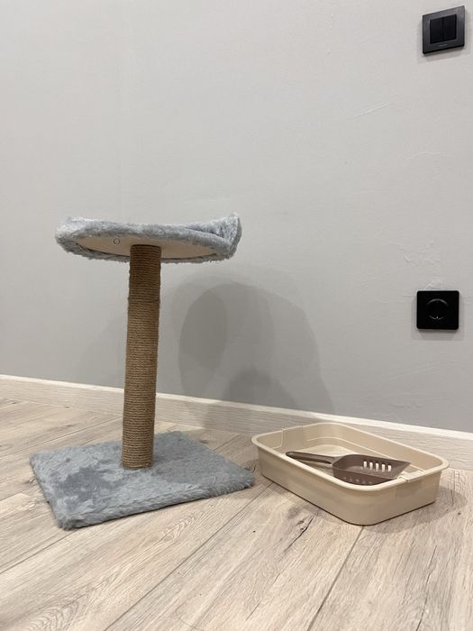 Когтеточка и лоток