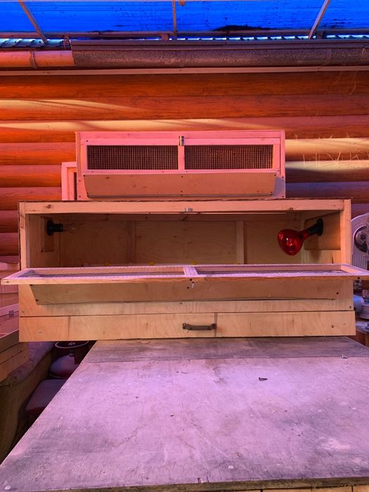 Новые Брудеры для цыплят (Полный комплект)