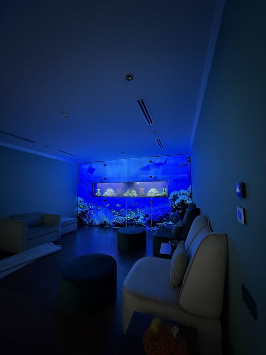 Professionall akvarium tozalash xizmati - Чистка аквариумов