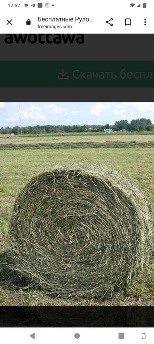 Продам сено в рулонах!