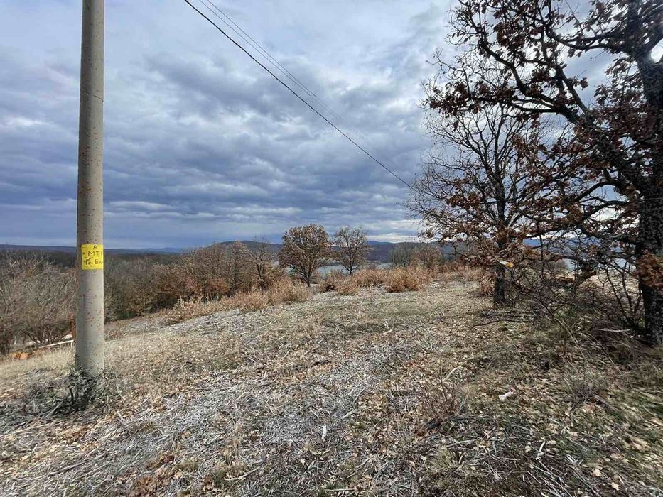 Продава се Парцел в с. Калище, Област Перник - 1000 кв.м за 54 €/кв.м - Снимка #7