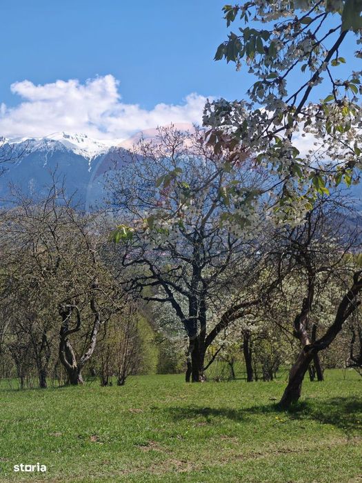 Ocazie! Teren 9735 mp Bran- Predelut / Strada Pe Tarina nr. 70A
