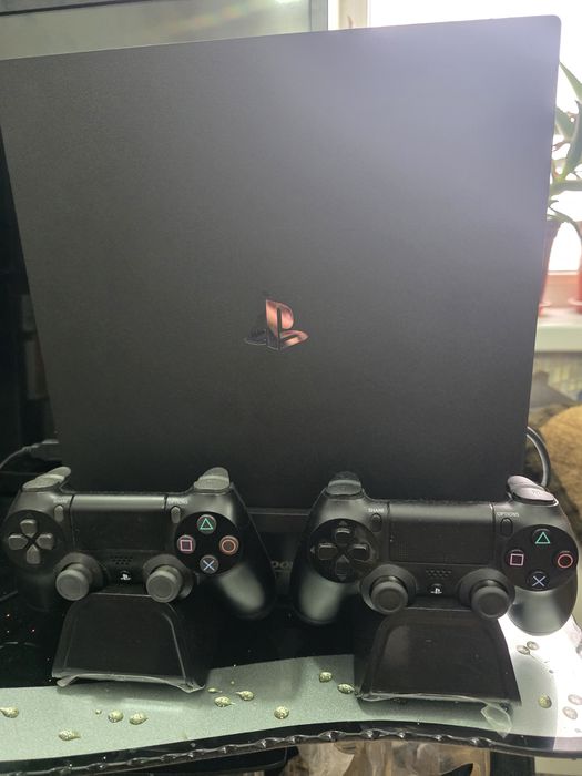 Plestyshin 4 pro 1 Trb