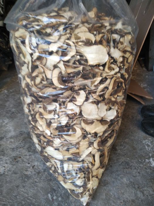 Първокачествена суха  борова манатарка!