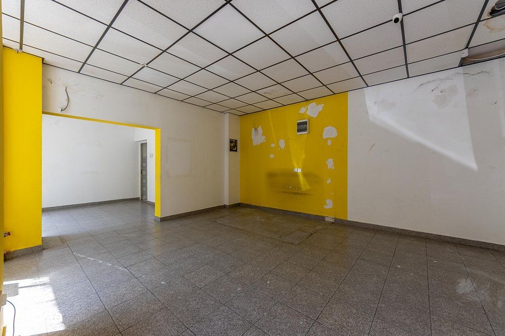Pantelimon 291, stradal, 50mp