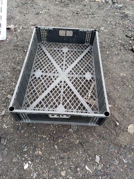 Ящики пластмассовые б/у.