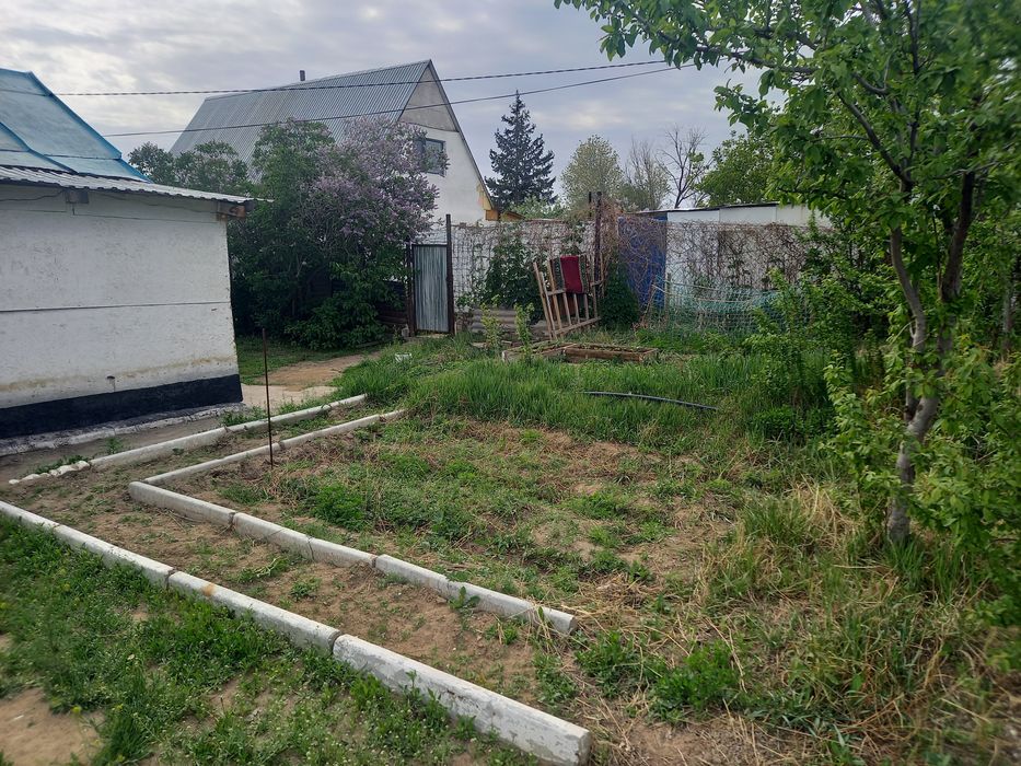 Заря восток Ежевичная 7