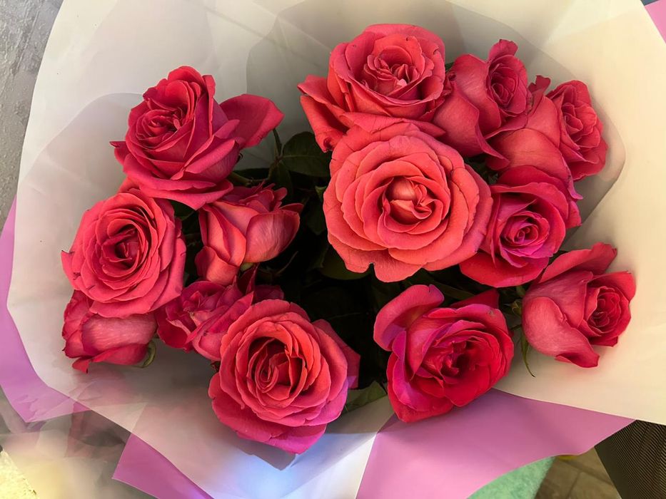 Цветы !!розы!!!момоко