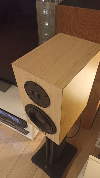 Exproject D2.1EX Swans HIVi Research DYNAUDIO + swans стойки