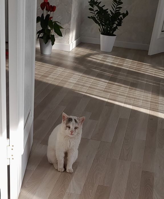 срочно Продаётся 2-х этажный дом 6 сотки, в центре города до мечети 60