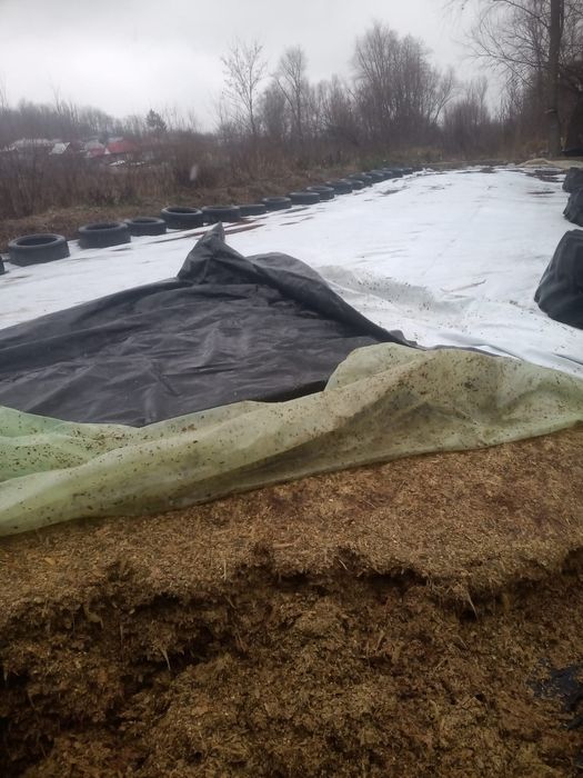 Siloz de porumb 2025