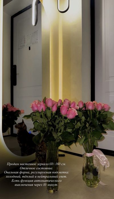 Зеркало настенное 60x160 см