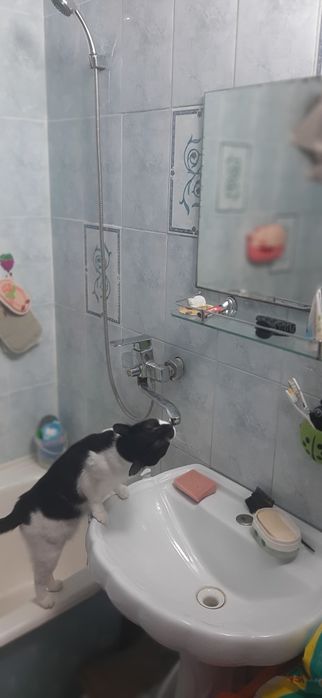 Продаю квартиру улучшенной планировки.