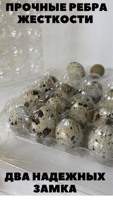 Лоток для перепелиных яиц