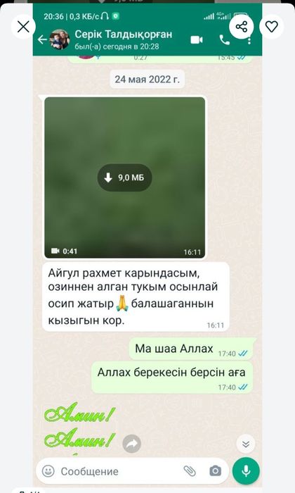 Семена Люцерны, самосад