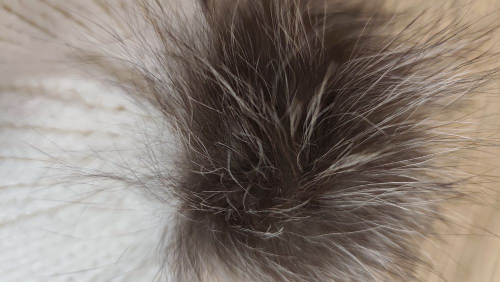 Детска зима шапка Lee Coope 5-8гr