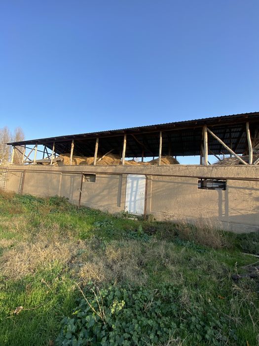 Yer sotiladi Ferma Yangi Ozbekiston