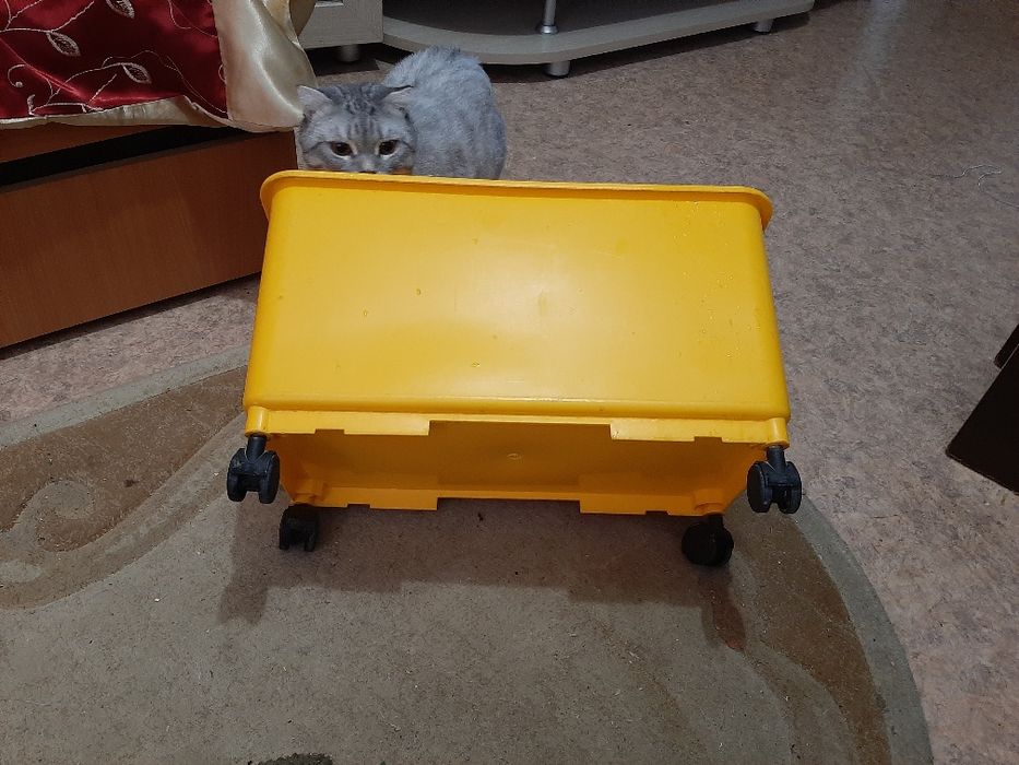 Ведро большое на колесах