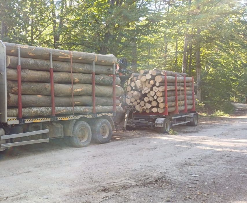 Lemne de foc fag capete uscate sau verzi 600lei tona sau la metru ster