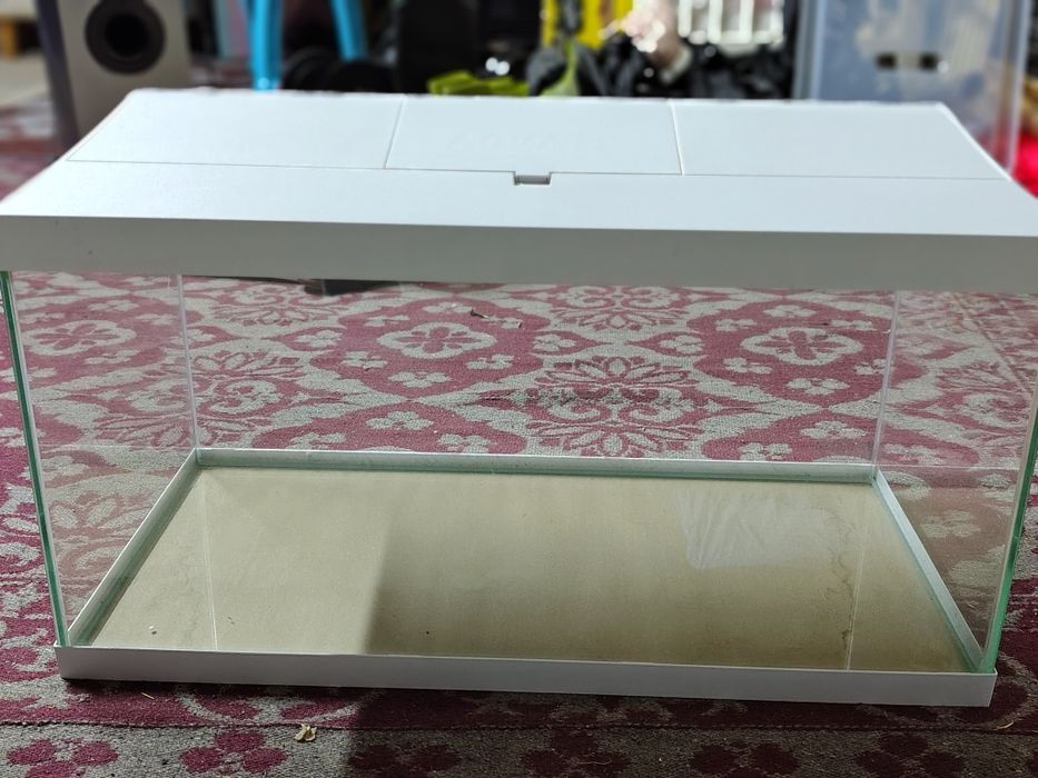 Аквариум за декоративни рибки