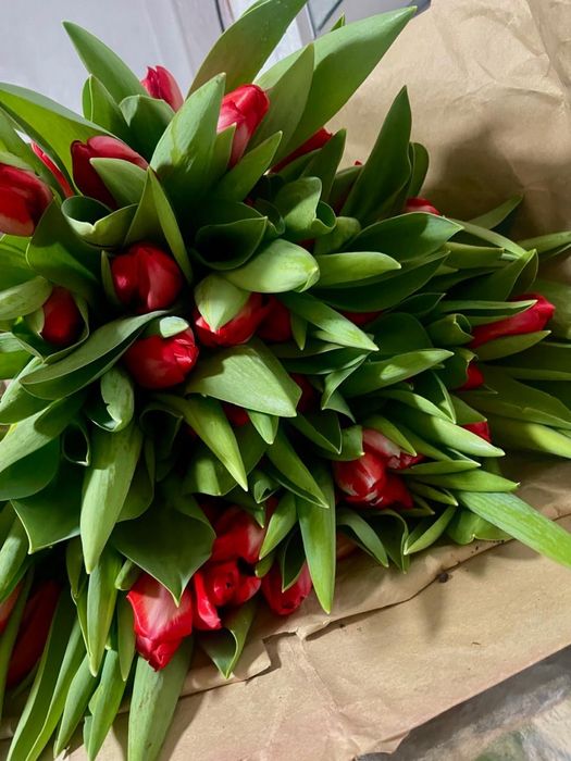 Тюльпаны Красные Желтые