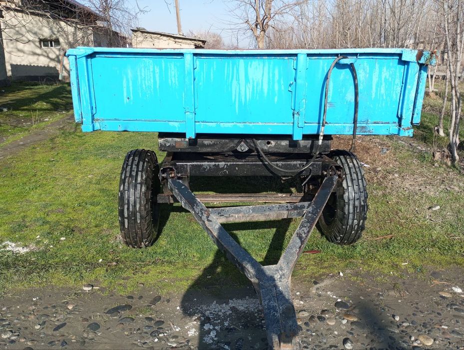 Telechka srochno