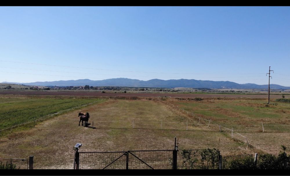 Pensiune cai/ cabaline langa Brasov