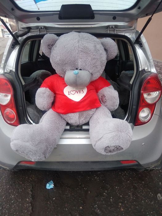 Tady yumshoq oʻyinchoqlari