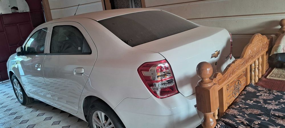 Kobalt pachka 2026 mcm