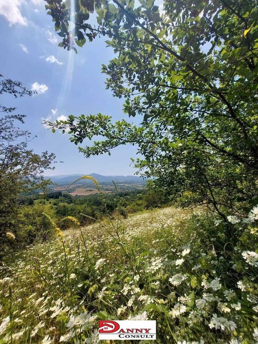 Продава се Парцел в Велико Търново, Акация - 1100 кв.м за 8 €/кв.м - Снимка #3