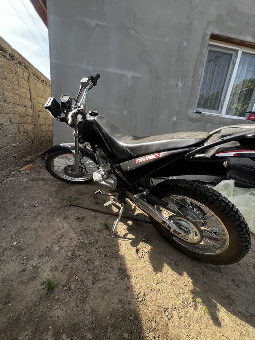 Cross 125 tronic-t